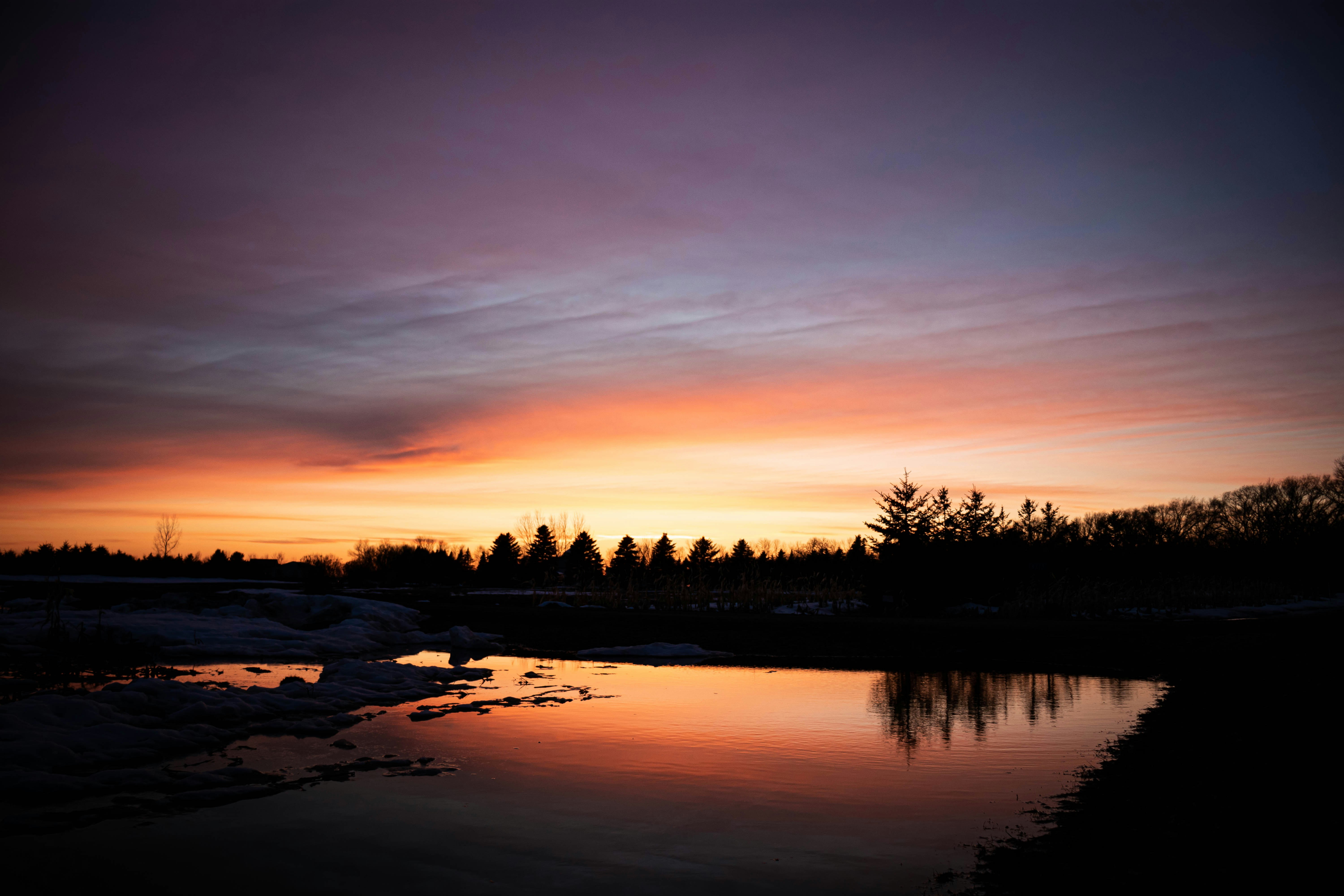 silhouette of trees near body of water during sunset